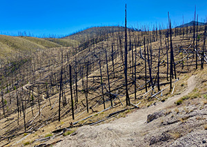 Fisher Trail Map Thumbnail 300x214