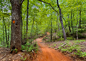 Trail Map Thumbnail 300x214