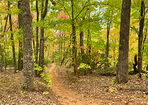 Trail Map Thumbnail 300x214